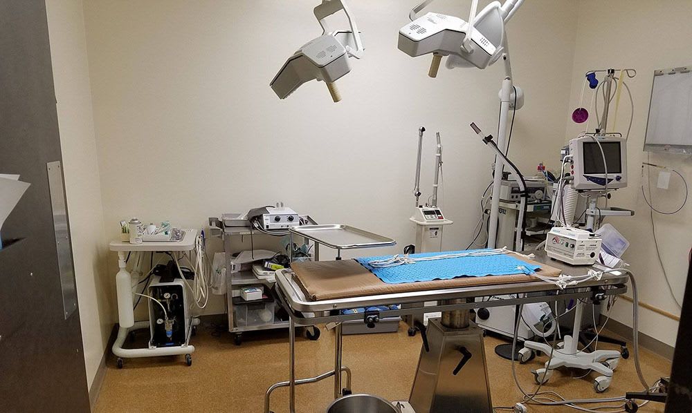 Surgery room in Des Moines