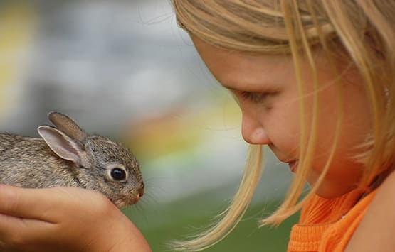Midwest Bird & Exotic Animal Hospital helps at shelters.