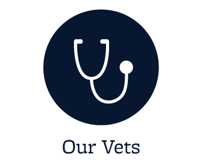 Our animal hospital veterinarians in Des Moines