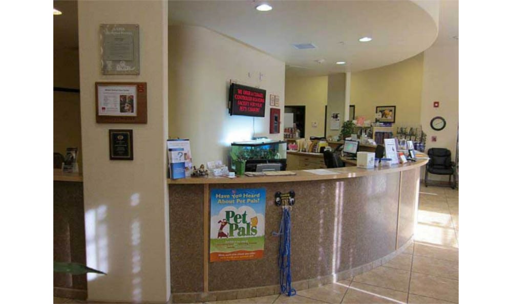 Our Hospital Novak Animal Care Center
