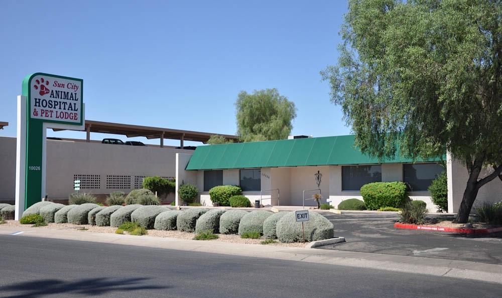 Our Hospital | Sun City Animal Hospital