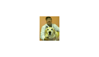 Dr. Szabo of Hidden Valley Animal Hospital & Boarding