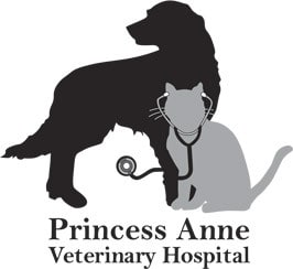 Princess Anne Veterinary Hospital