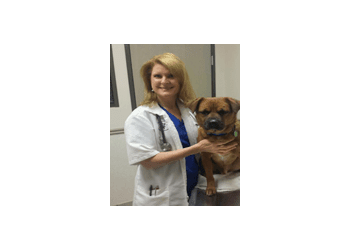Dr. Martin of Windhaven Veterinary Hospital
