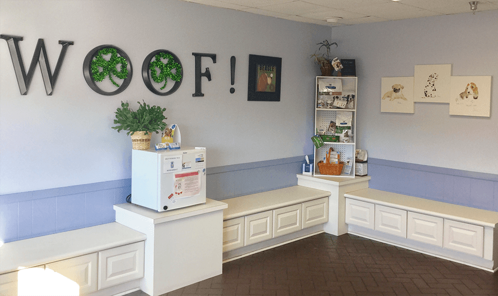 quail corners animal hospital quail corners animal hospital