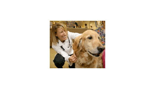 Dr. Annie Web at Lakewood Veterinary Clinic