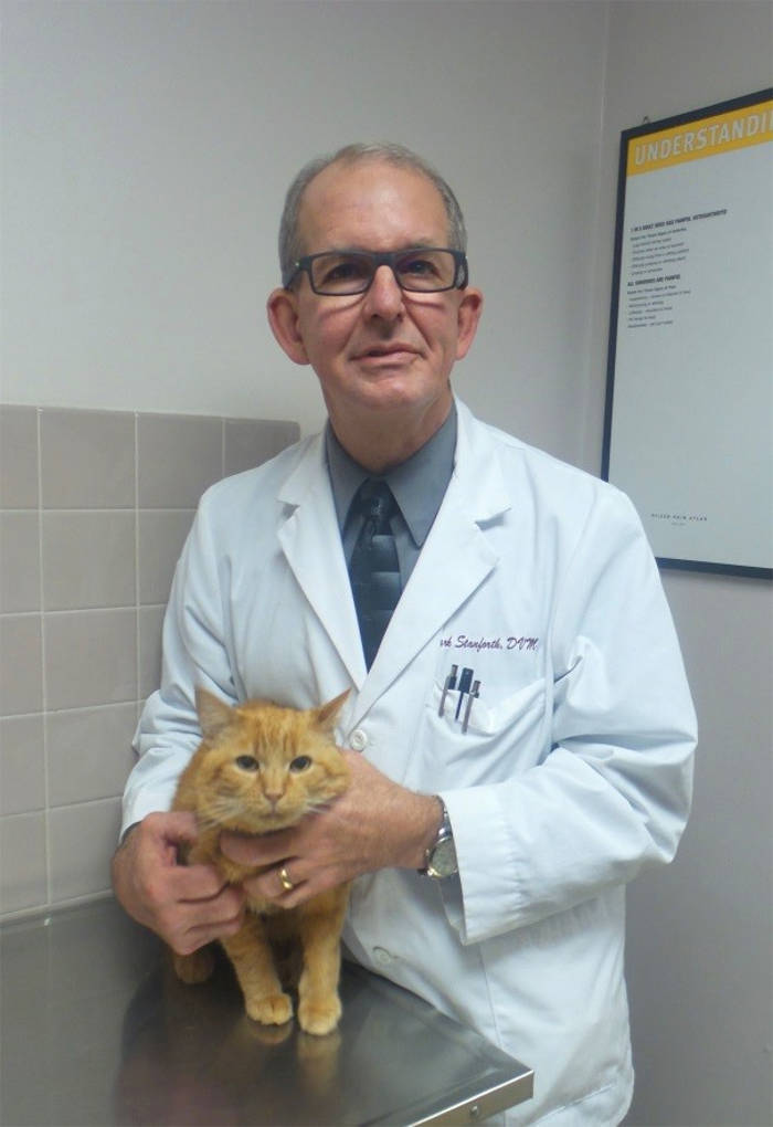 Dr. Mark Stanforth at Kokomo Animal Hospital