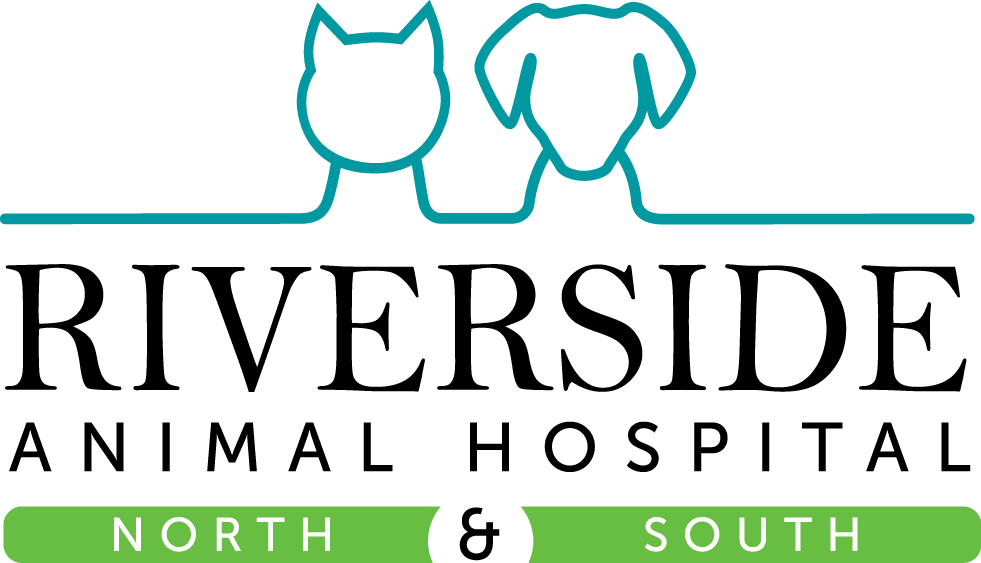 VetsNYC New York Animal Hospital