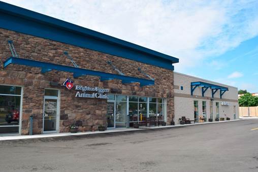 Animal hospital in Tonawanda mission statement