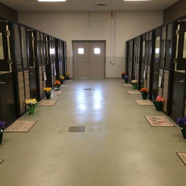 Tonawanda Animal Hospital core values