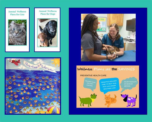 Managing your pet's health at St. Simons Island Animal Hospital