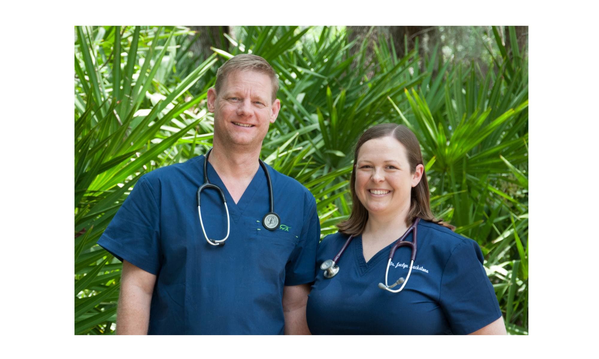 Animal hospital in St. Simons Island, GA