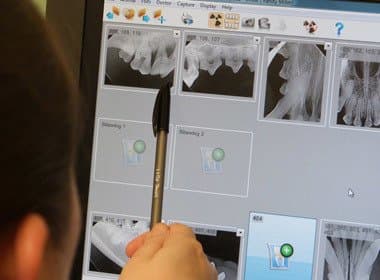 St. Simons Island animal hospital dental care