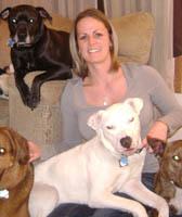 Team Member at Dover Animal Hospital