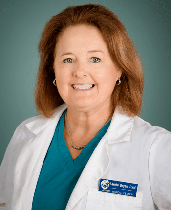 Laveta Bryan, D.V.M. at Amarillo Animal Hospital