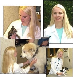 Dr. Andrea Harl at animal hospital in Tulsa
