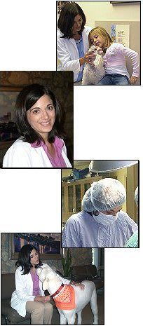 Dr. Christine Kunzweiler at Tulsa animal hospital