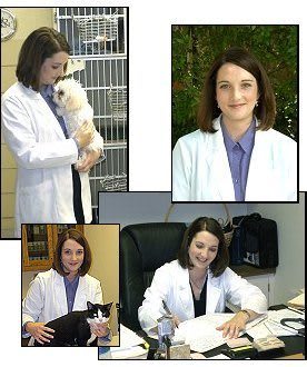 Dr. Christine Martin at animal hospital in Tulsa