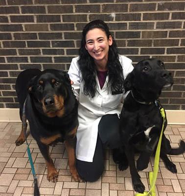 Dr. Ellis at Elkhart Animal Hospital