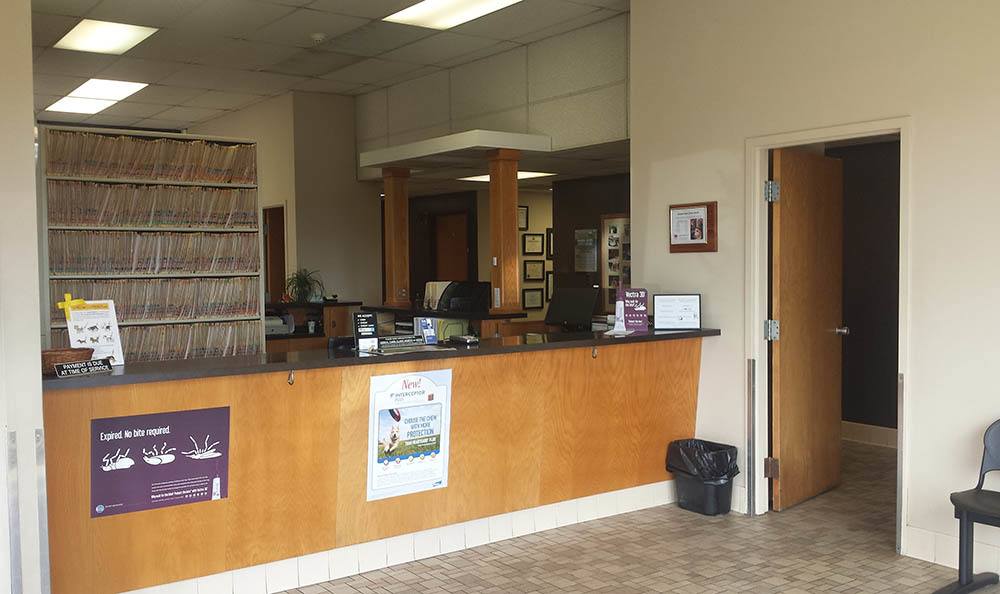 Our Hospital Animal Care Clinic North