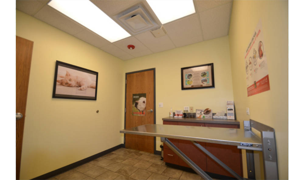 Our Hospital Animal Medical Clinic Wheaton