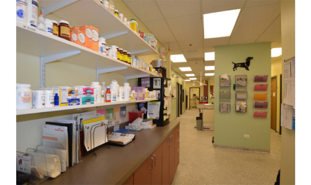 Our Hospital Animal Medical Clinic Wheaton