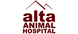 Alta Animal Hospital