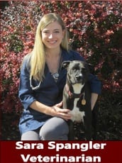Veterinarian Sara Spangler in Pocatello