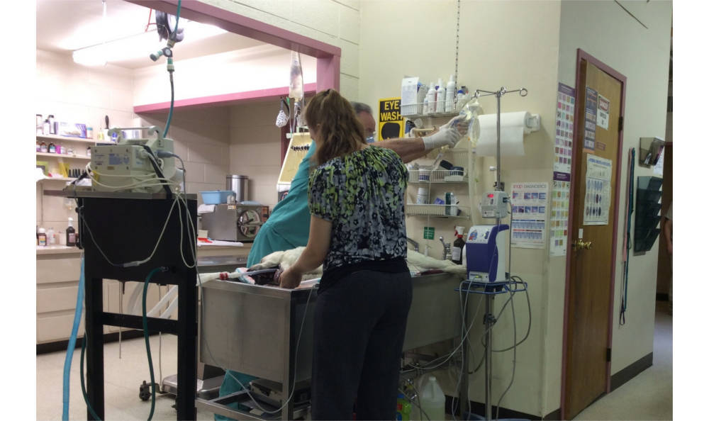 Our Hospital Vacaville Animal Care Center