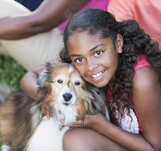 Animal Hospital in Alachua offer all the services your pet needs