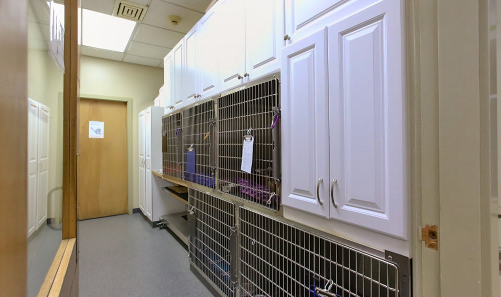 Our Hospital Kitsap Veterinary Hospital