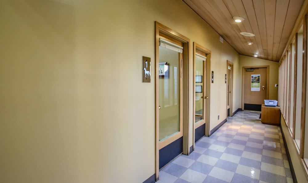 Our Hospital Kitsap Veterinary Hospital