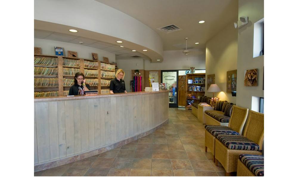 Our Hospital Countryside Animal Hospital of Tempe