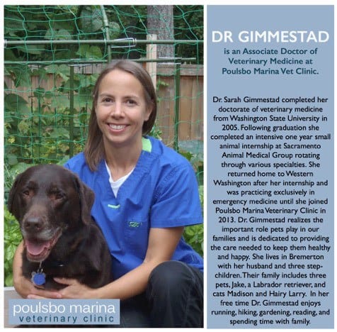 Sarah Gimmestad, D.V.M. at Poulsbo Animal Hospital