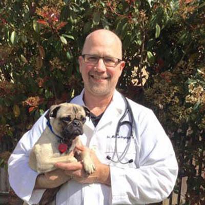 michael engelsgjerd at Linda Mar Veterinary Hospital