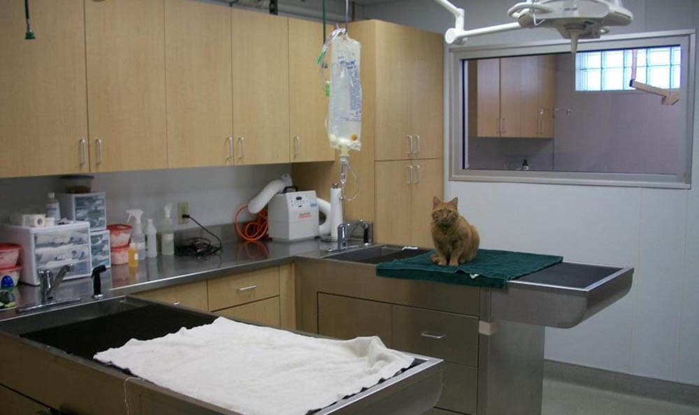 Our Hospital ThiensvilleMequon Small Animal Clinic