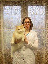 Dr. St. John at Sandwich Veterinary Hospital