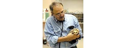 Anthony C Burgett, DVM at Edinboro Veterinary Clinic