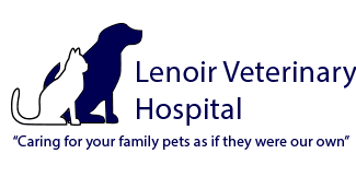 Lenoir Veterinary Hospital