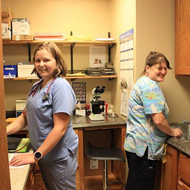 Buffalo Animal Hospital core values