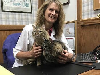 Dr. Fowell at East Ventura Animal Hospital