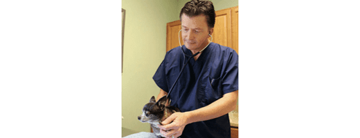 Dr. Pablo, D.V.M. at Tampa Animal Hospital