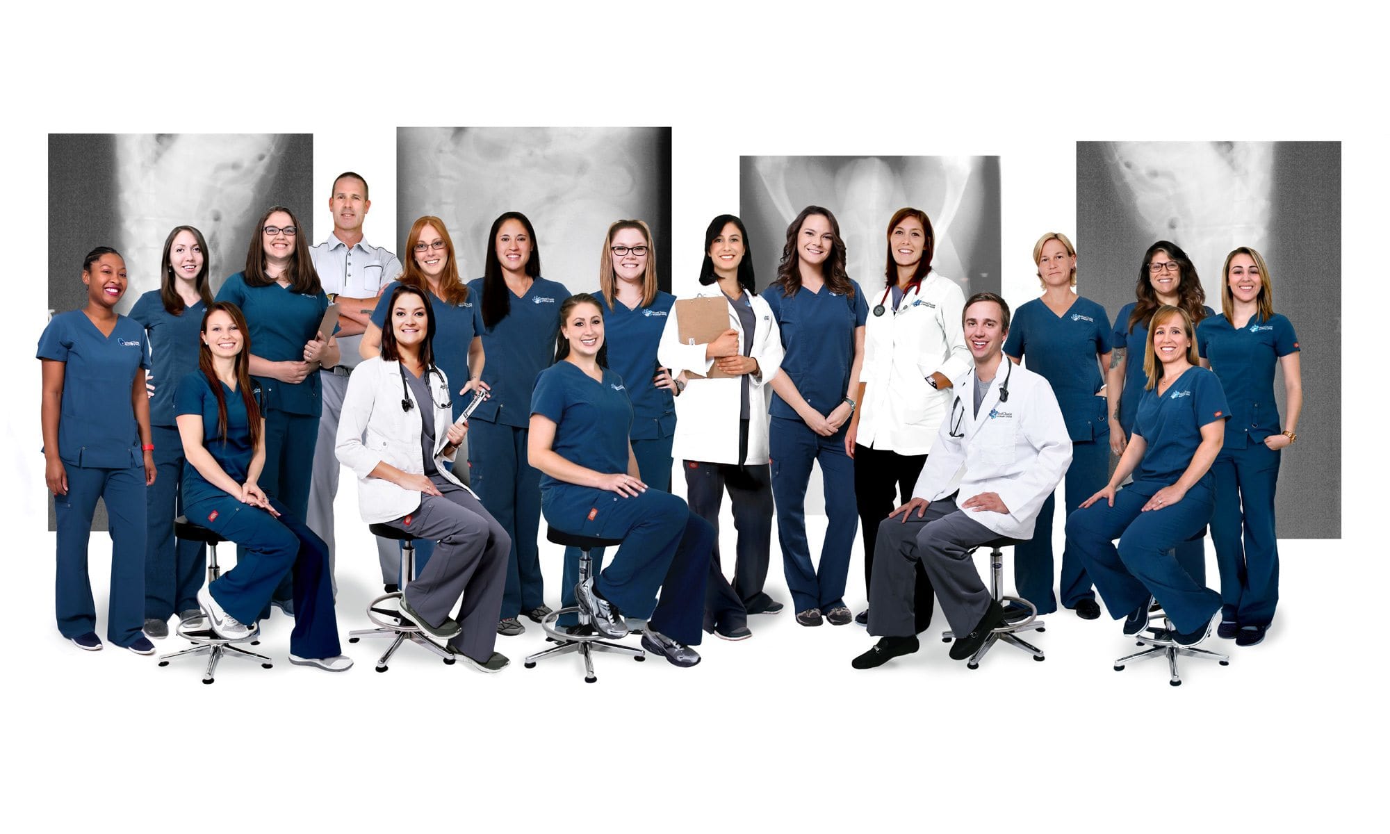 Animal Hospital in Tampa, FL