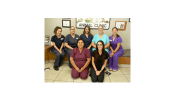 Tecnical Staff Team of All Creatures Animal Clinic