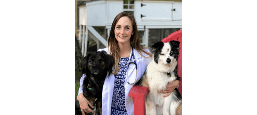 Dr. Katherine Blakeley at Danvers Animal Hospital