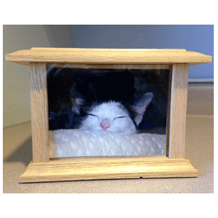 Photo urn from Danvers Animal Hospital