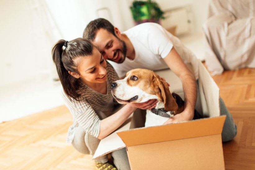 We're pet friendly at Ancora Apartments in Orlando.