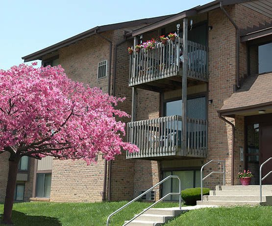All of the Essex amenities are available at our apartments