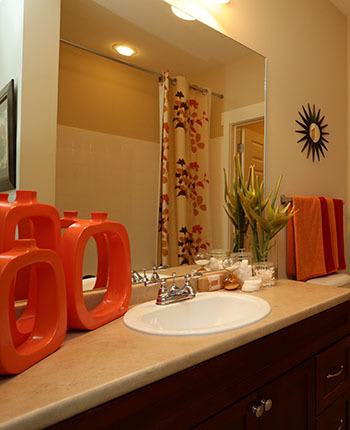 Luxurious Atlanta apartment bathroom
