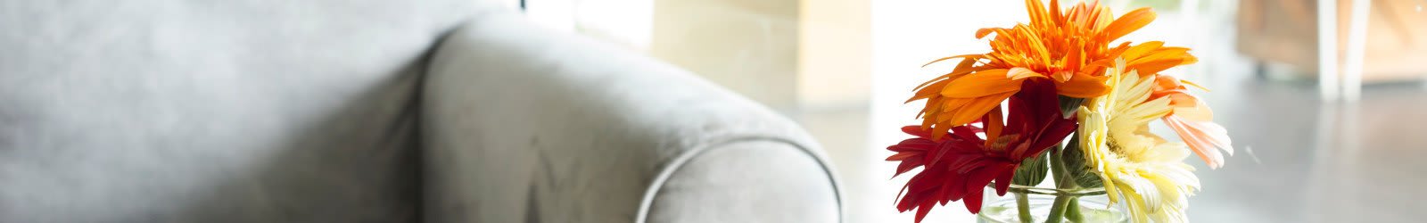 Privacy policy for the apartments in Fredericksburg